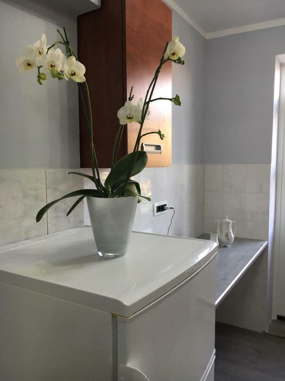Apartment Kumicic - 3 Bedrooms Ičići Esterno foto